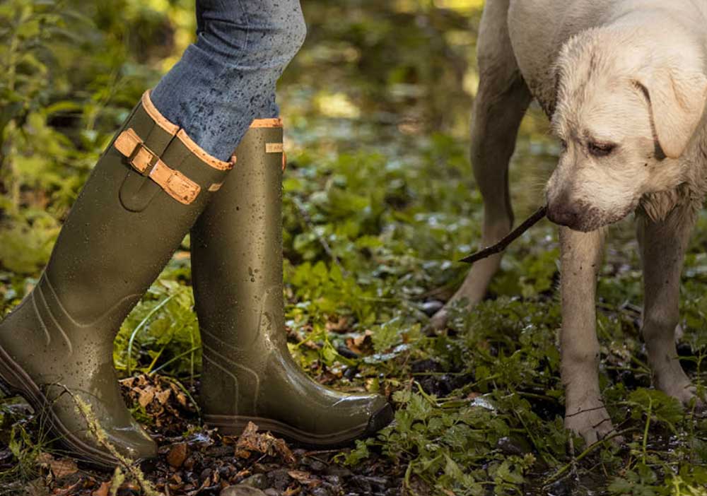 labrador welly boot dog walker
