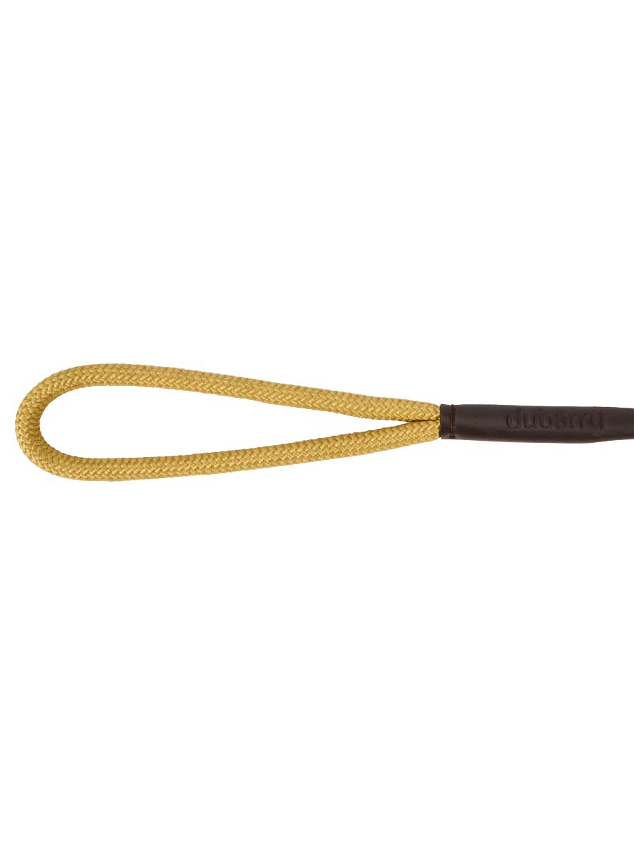 DUBARRY Charlie Nylon Clip Dog Lead - Gold