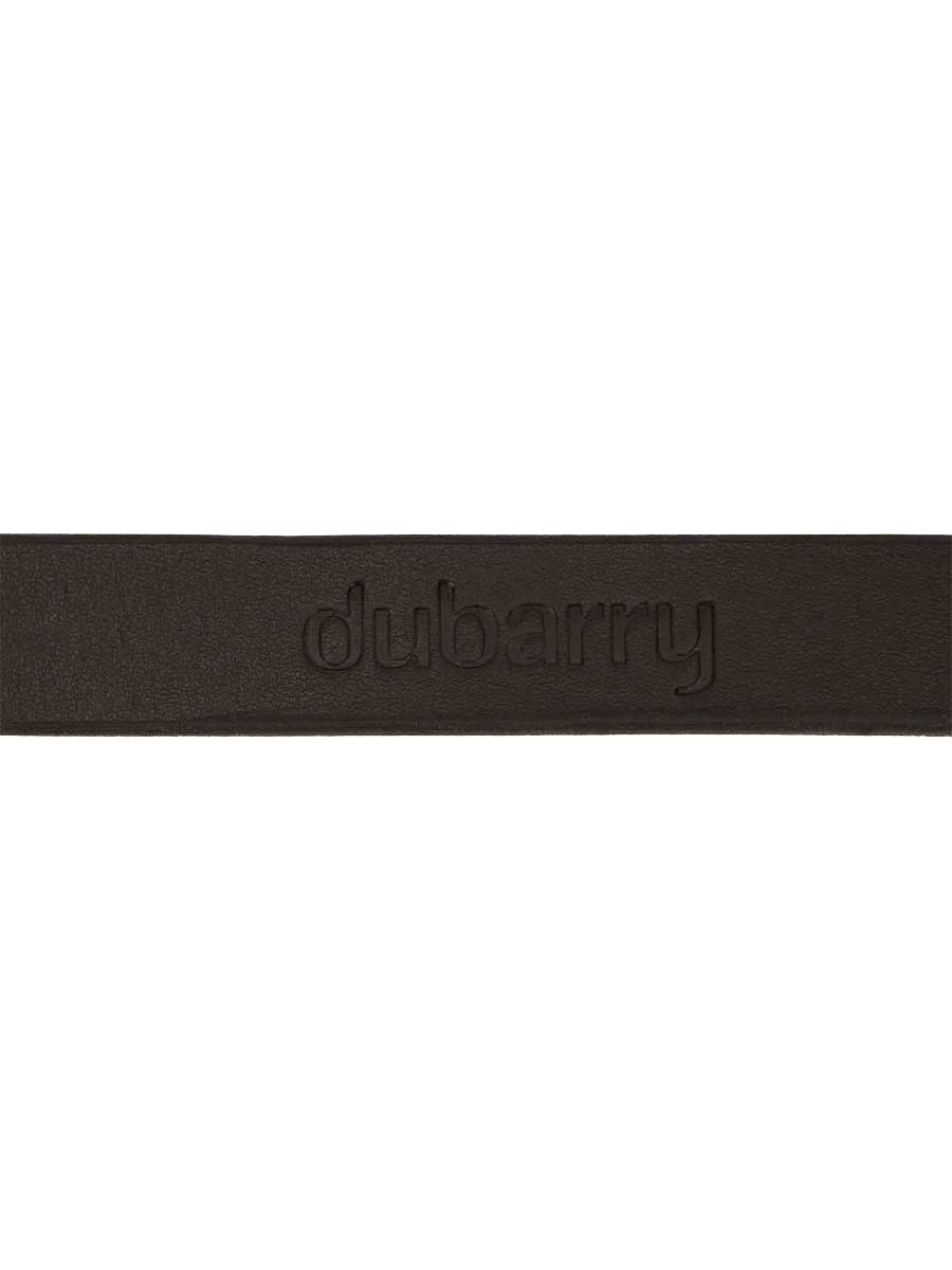 DUBARRY Riley Leather Slip-Neck Dog Lead - Mahogany