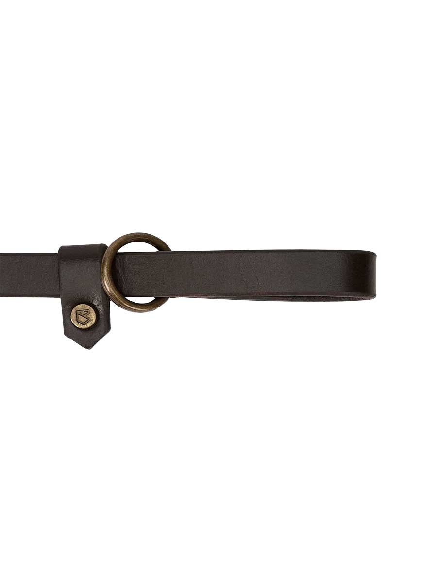 DUBARRY Riley Leather Slip-Neck Dog Lead - Mahogany