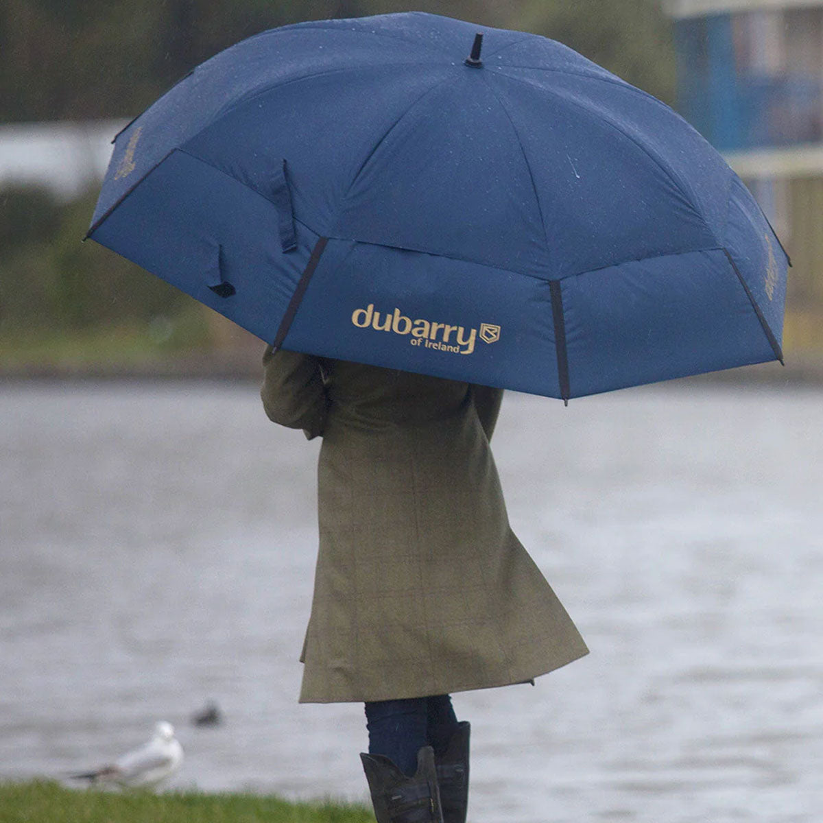 DUBARRY Storm Umbrella - Navy