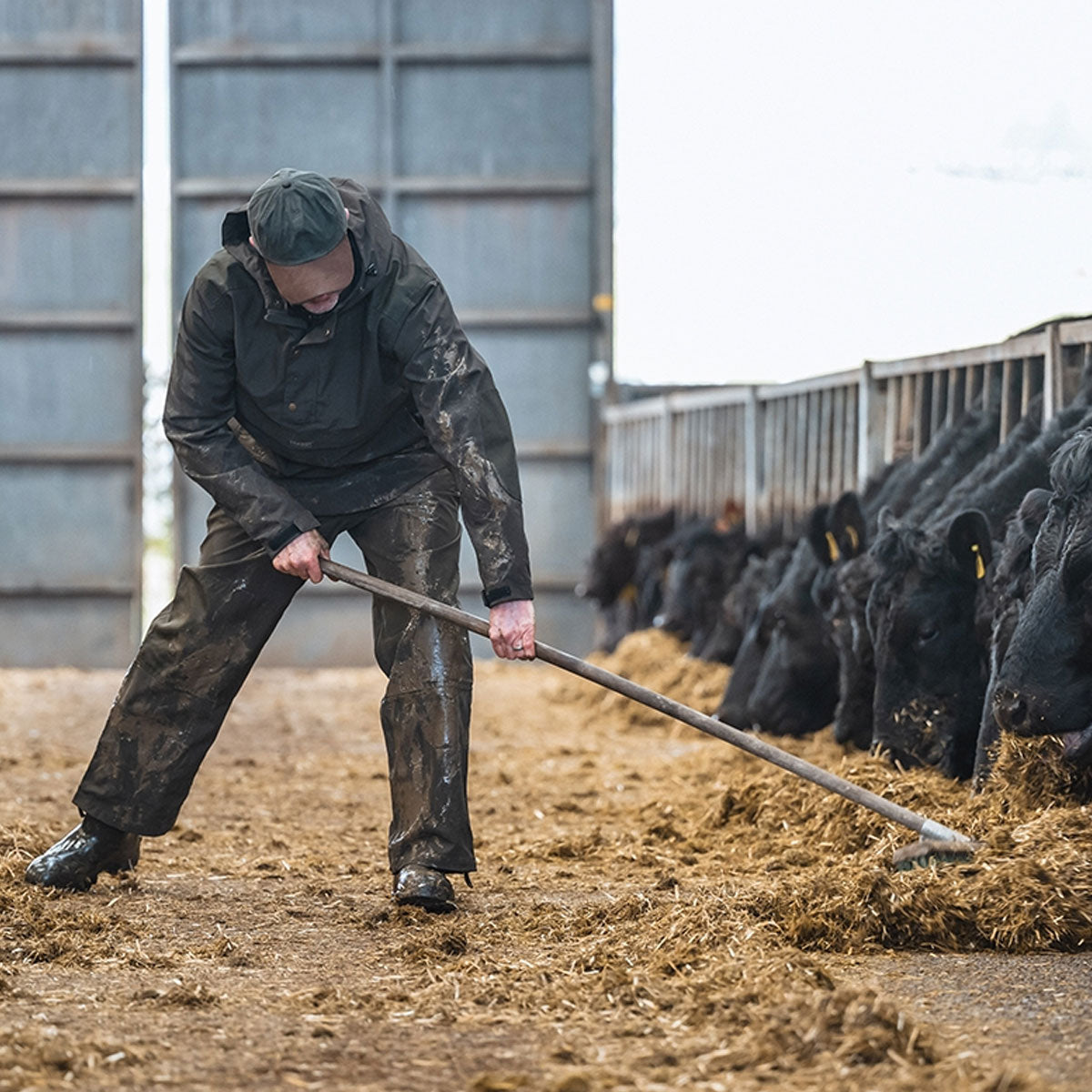 HOGGS OF FIFE Green King II Waterproof Jacket - Mens - Green