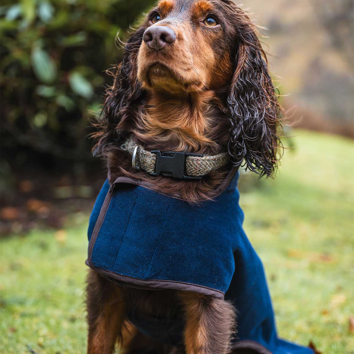 HOGGS OF FIFE Stenton Fleece Dog Coat - Navy