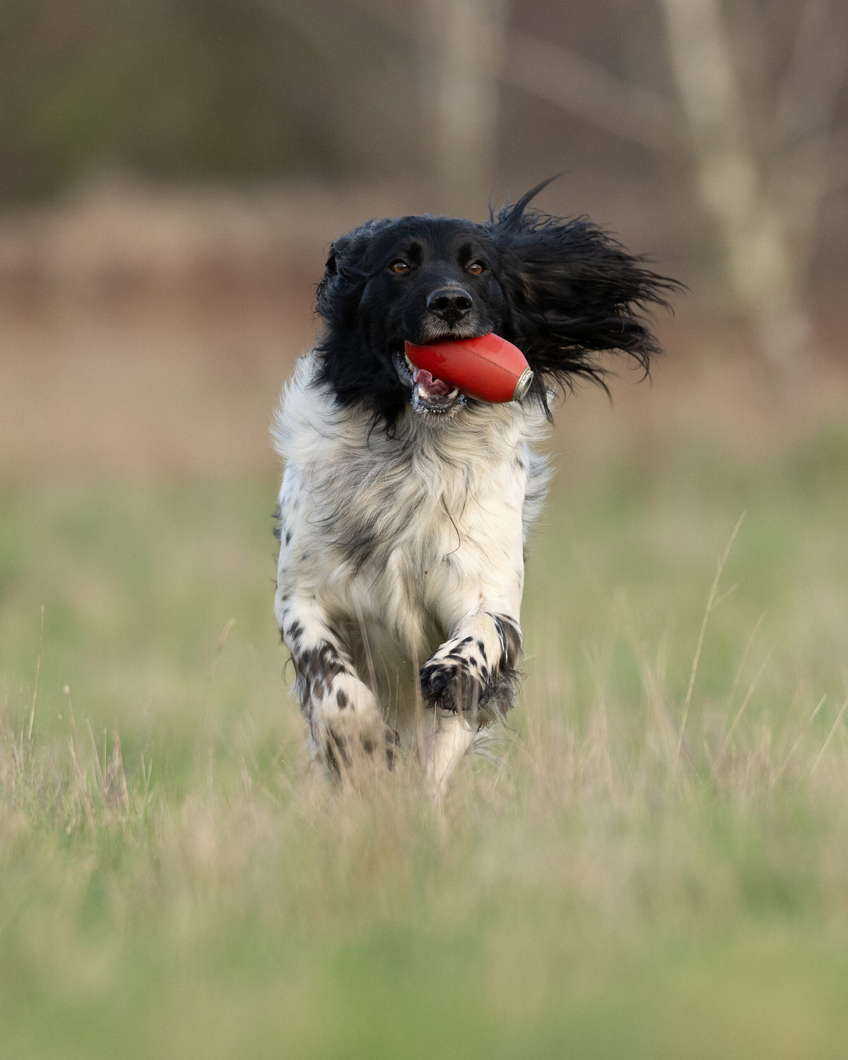 SPORTING SAINT Handheld Dummy Launcher Pack