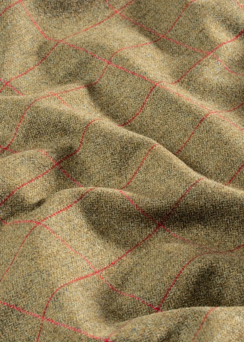 ALAN PAINE Combrook Mens Tweed Shooting Breeks - Sage Alan Paine