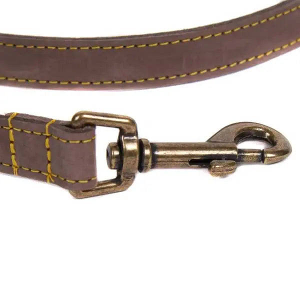 BARBOUR Dog Leather Lead - Brown