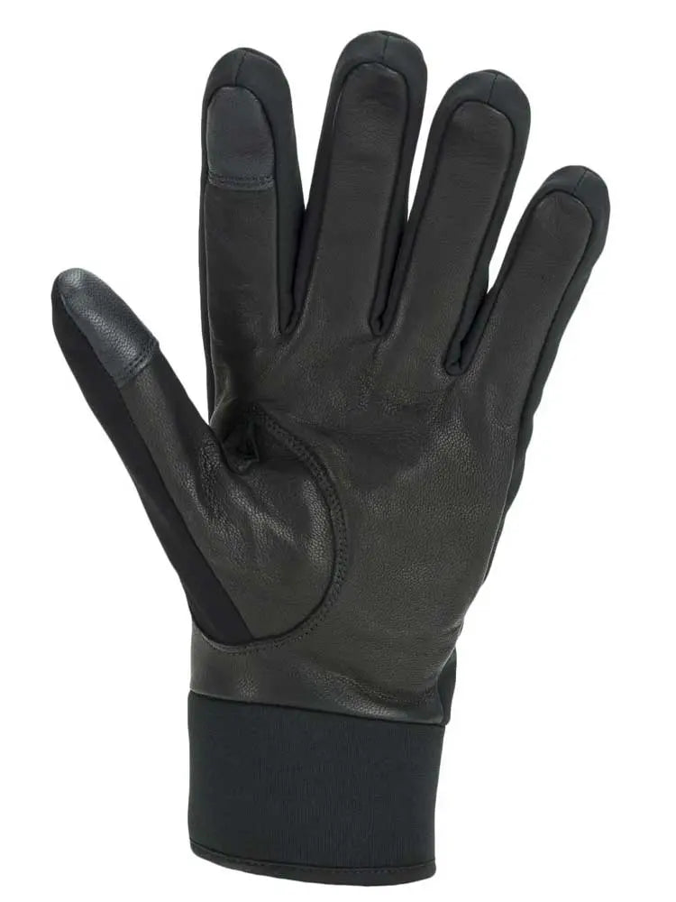 SEALSKINZ Gloves - Waterproof All Weather Insulated - Black