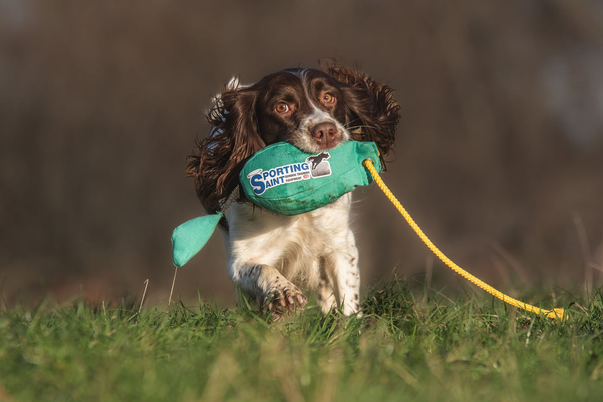 SPORTING SAINT Bird Dummy Sporting Saint