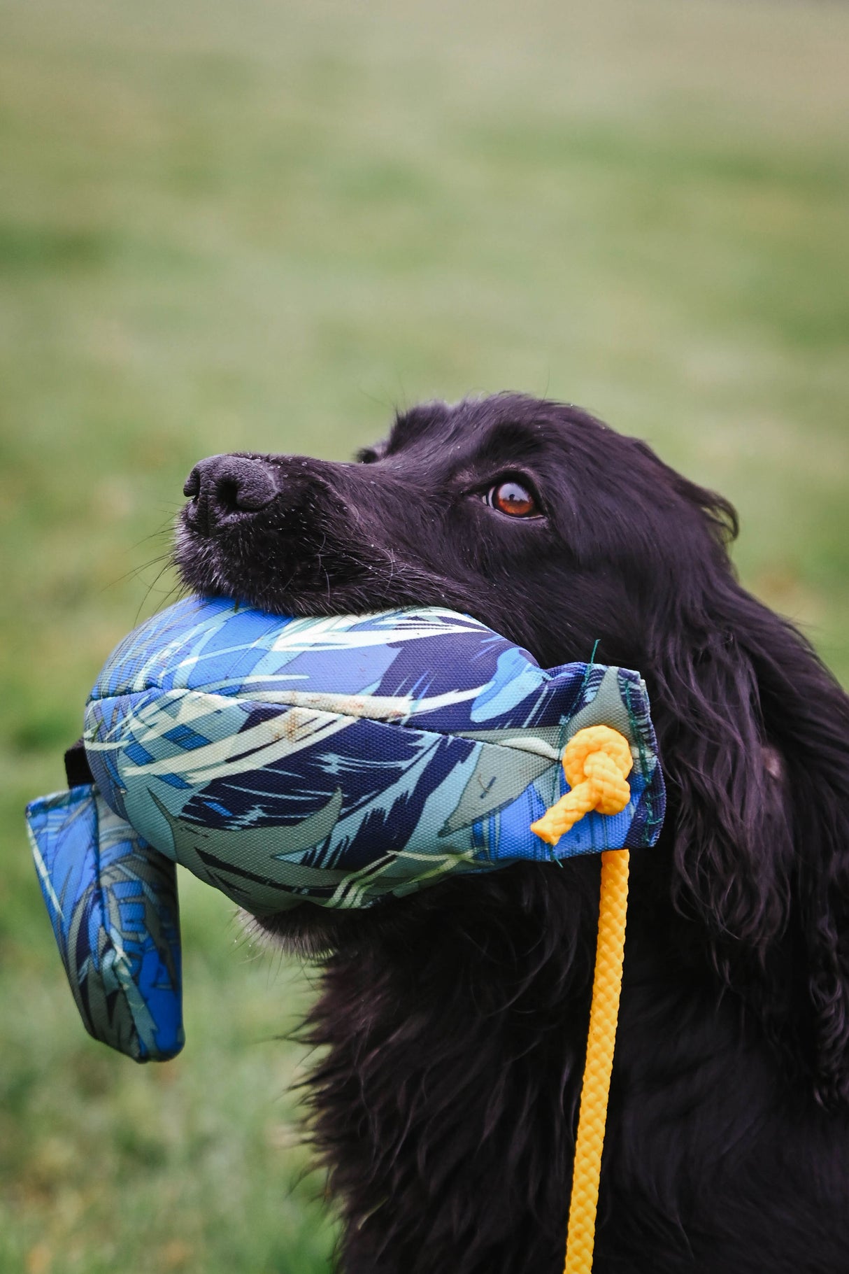 SPORTING SAINT Bird Dummy Sporting Saint