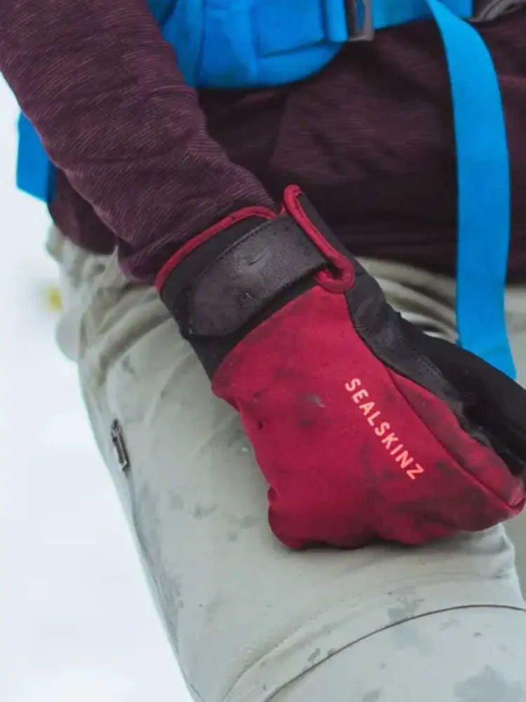 SEALSKINZ Gloves - Women's Waterproof All Weather Insulated Glove - Red