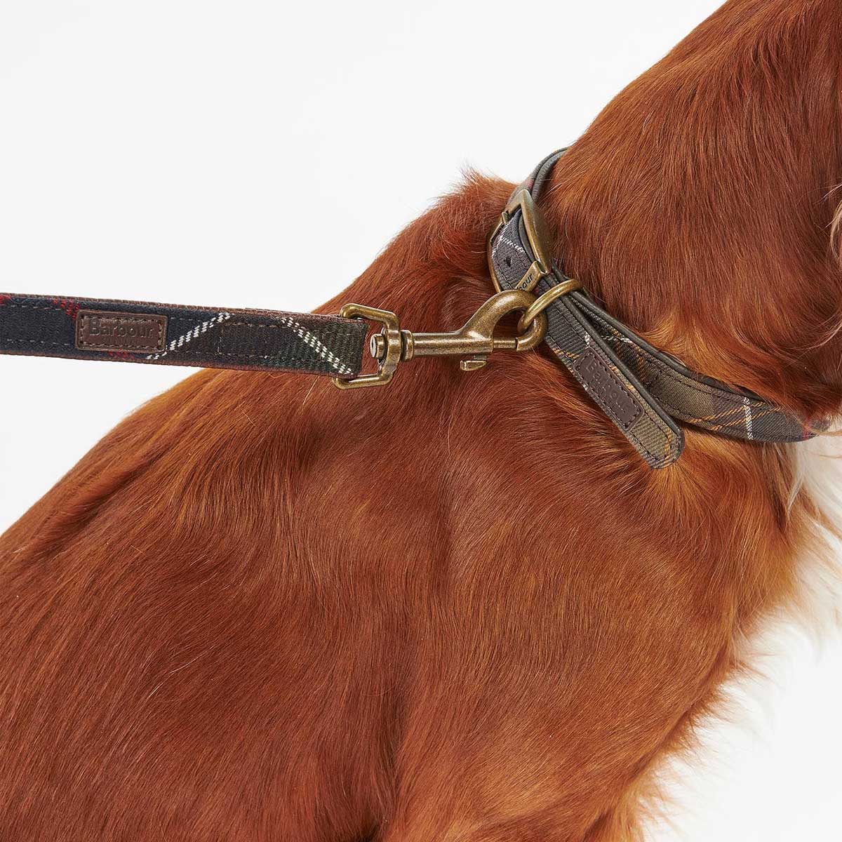 BARBOUR Classic Dog Lead - Tartan