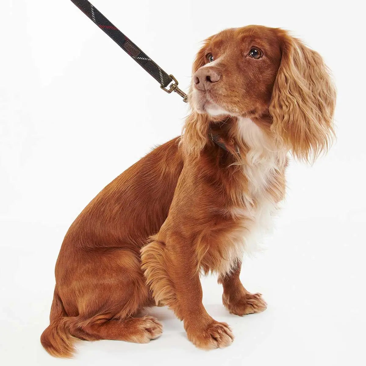 BARBOUR Classic Dog Lead - Tartan