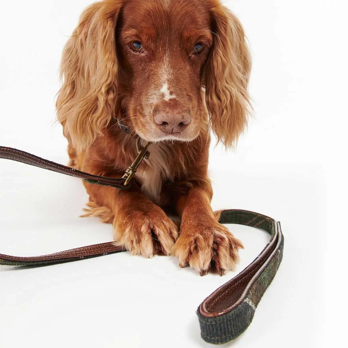 BARBOUR Classic Dog Lead - Tartan