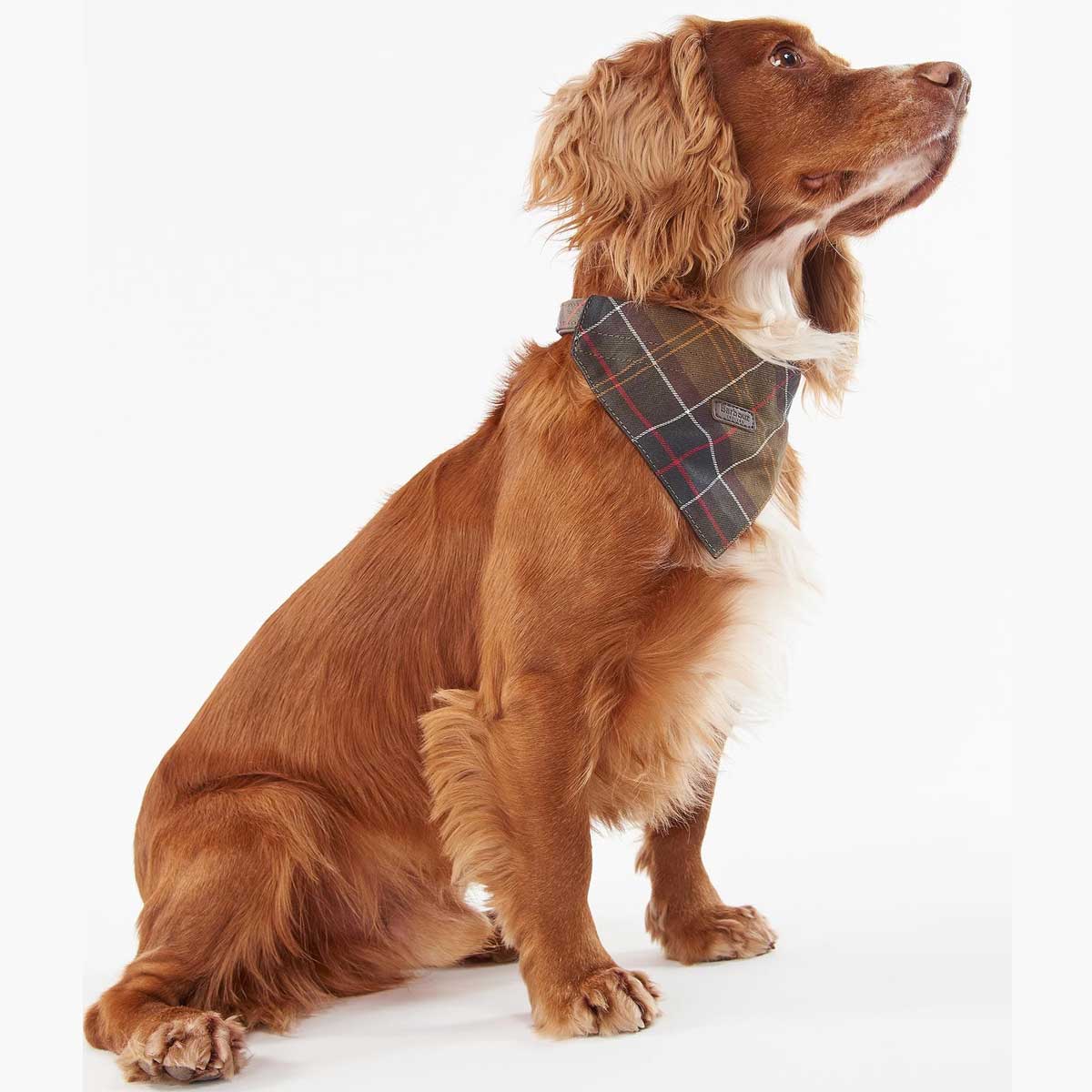 BARBOUR Dog Bandana - Classic Tartan
