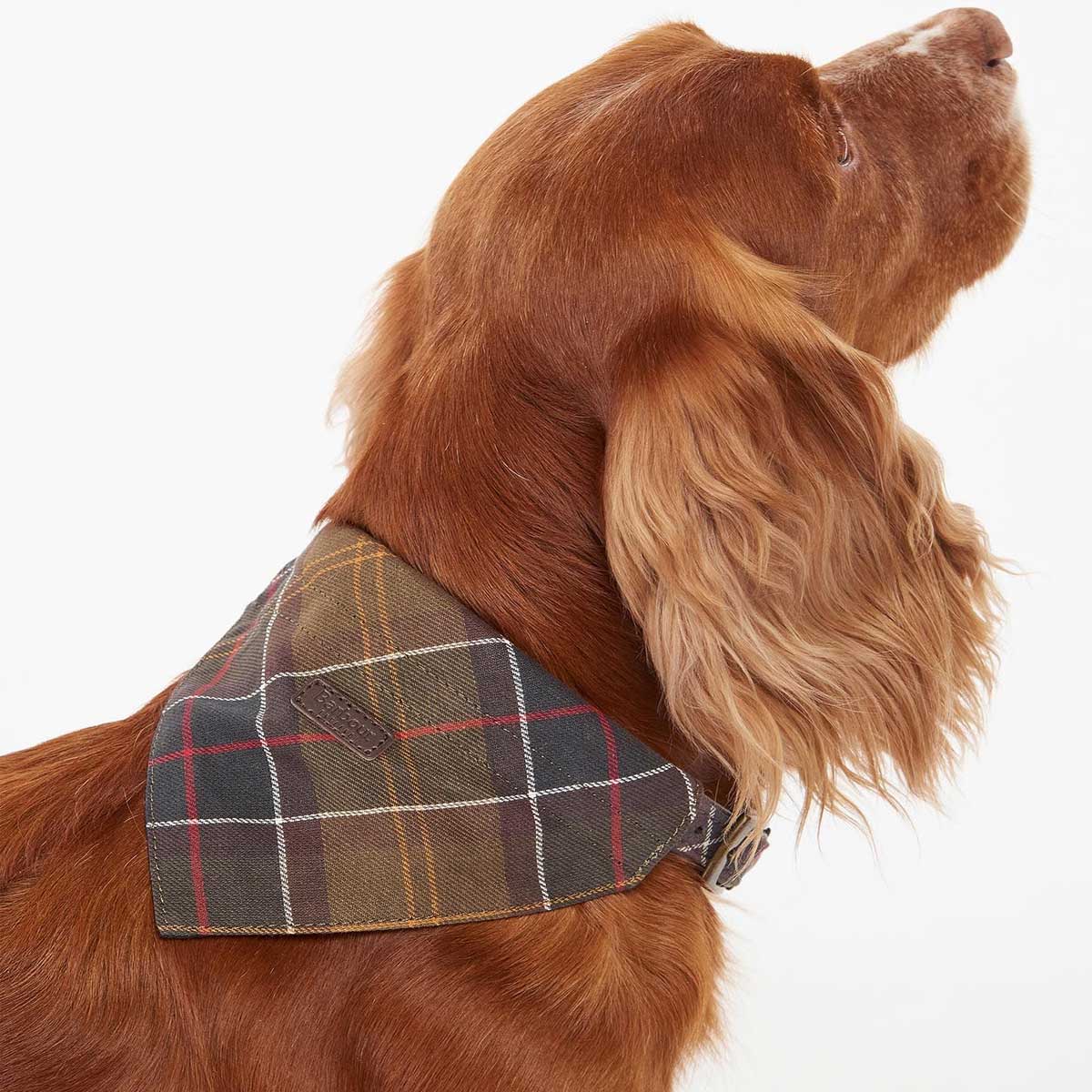 BARBOUR Dog Bandana - Classic Tartan