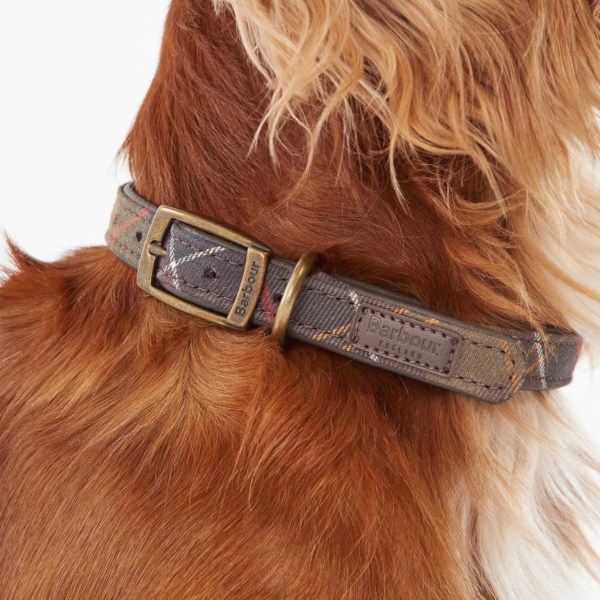 BARBOUR Dog Collar - Leather - Classic Tartan