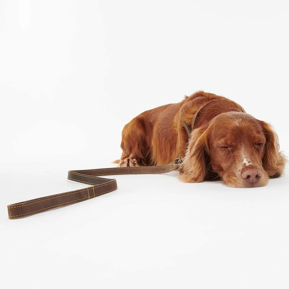 BARBOUR Dog Leather Lead - Brown