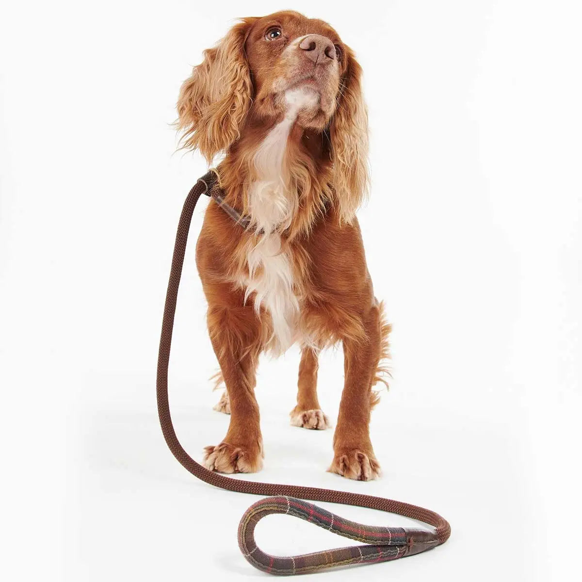 BARBOUR Dog Slip Lead - Classic Tartan
