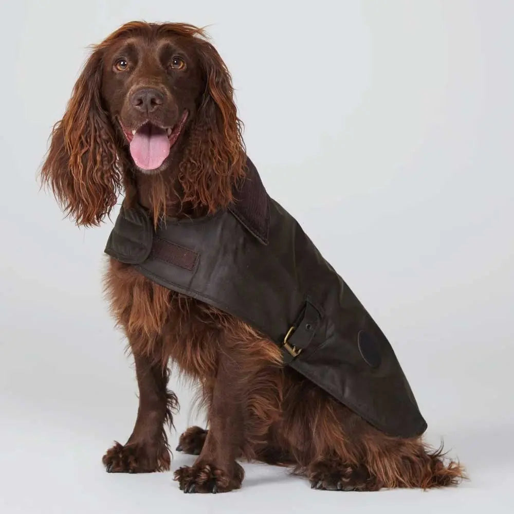 BARBOUR Wax Dog Coat - Olive Barbour