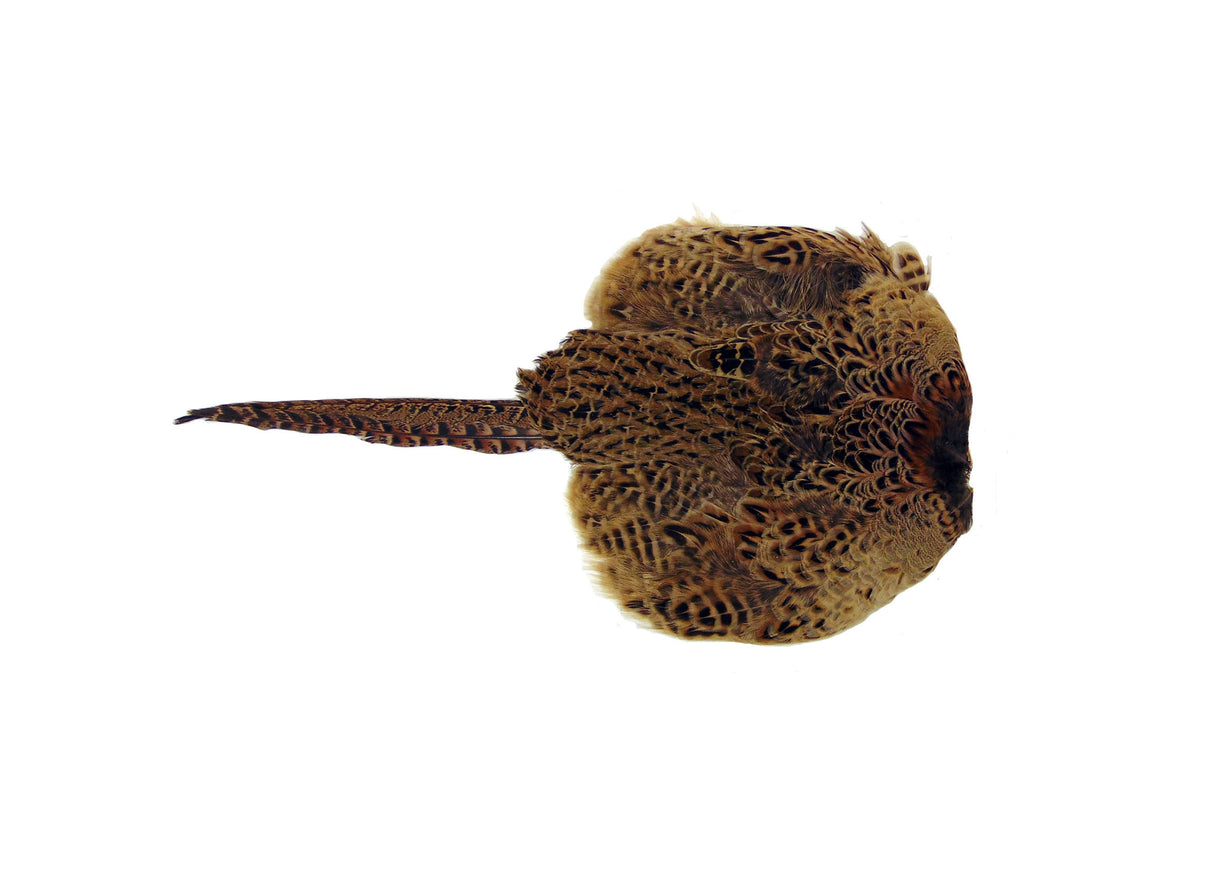 SPORTING SAINT Hen Pheasant Pelt Dummy Sporting Saint