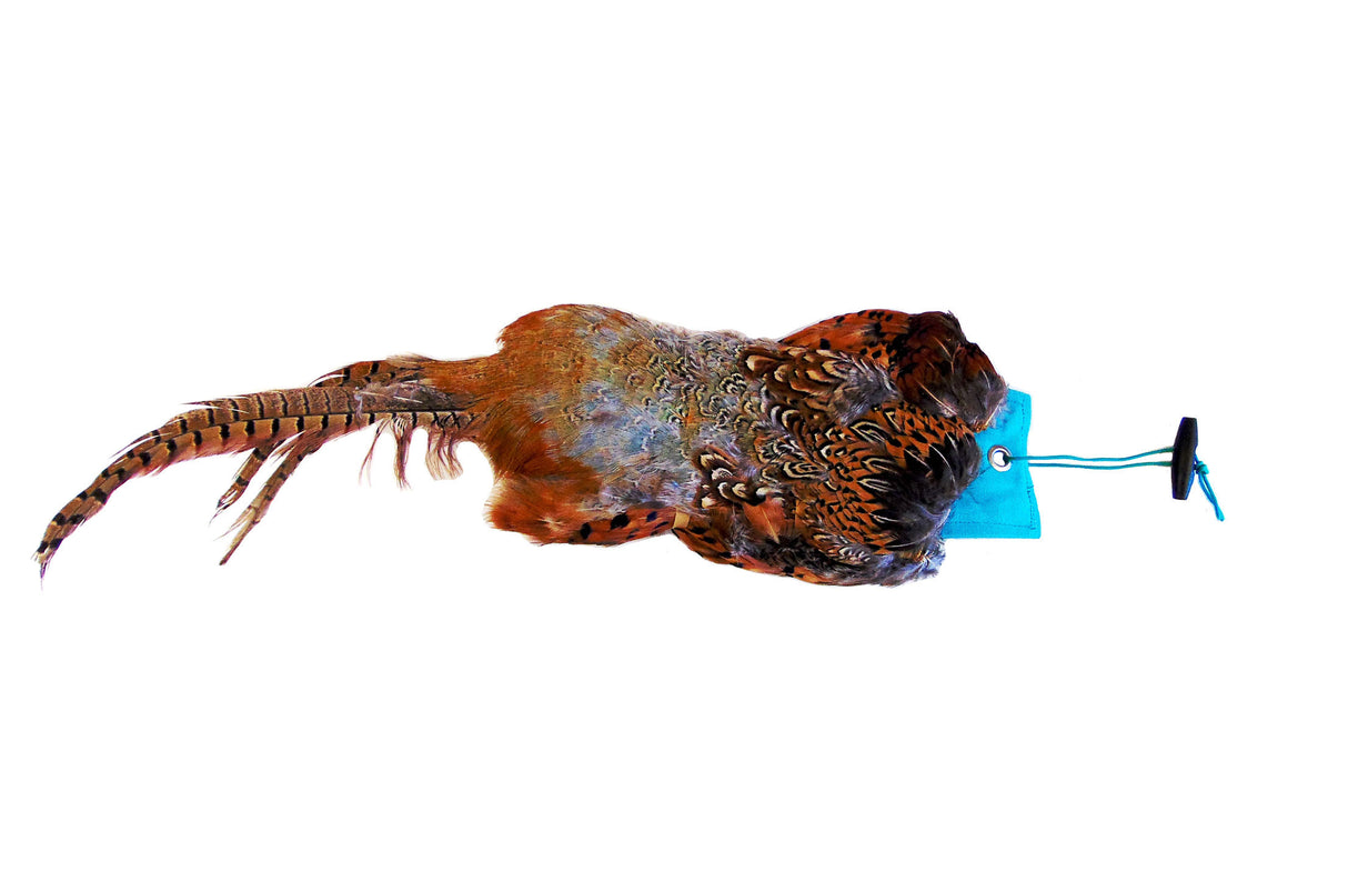 SPORTING SAINT Cock Pheasant Pelt Dummy Sporting Saint