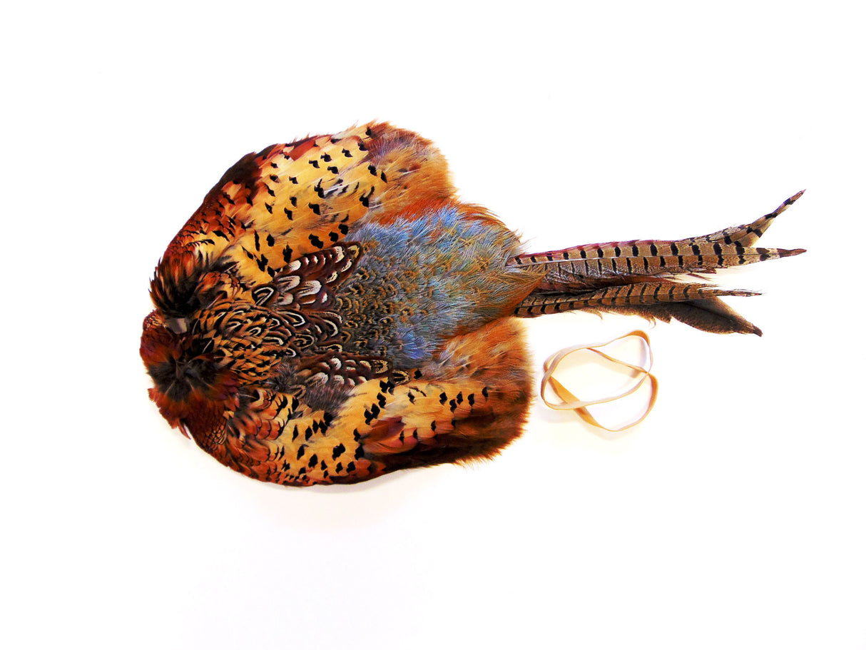 SPORTING SAINT Cock Pheasant Pelt Dummy Sporting Saint
