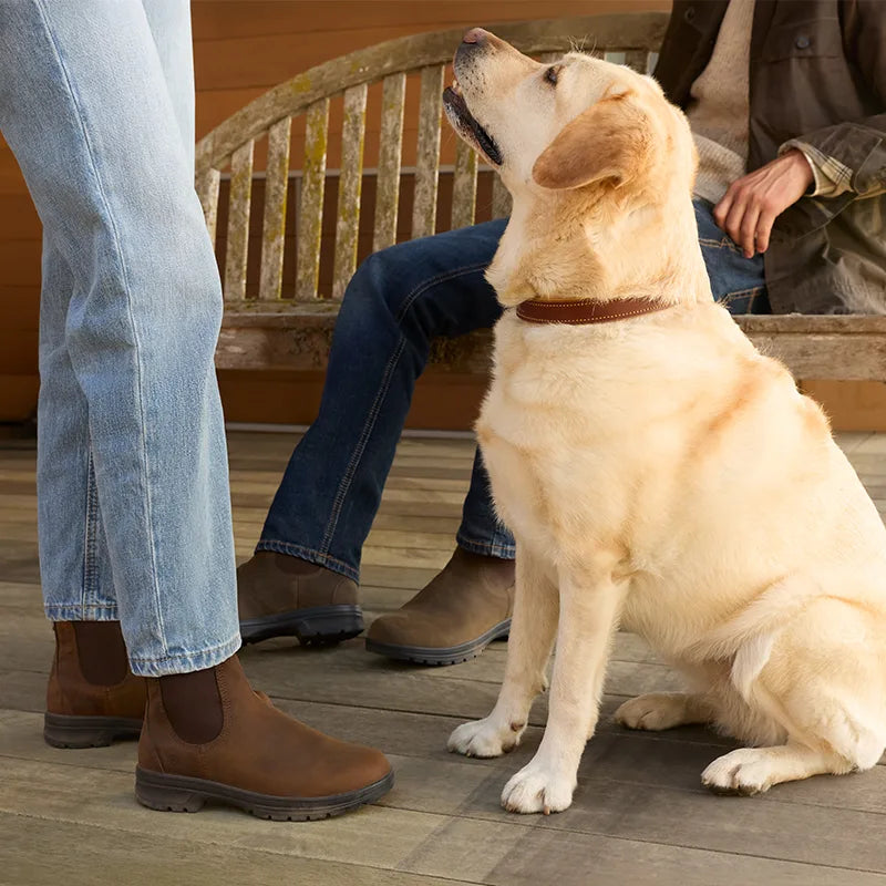 Ariat Cooper Chelsea Boots: A Practical Everyday Boot for Town and Country