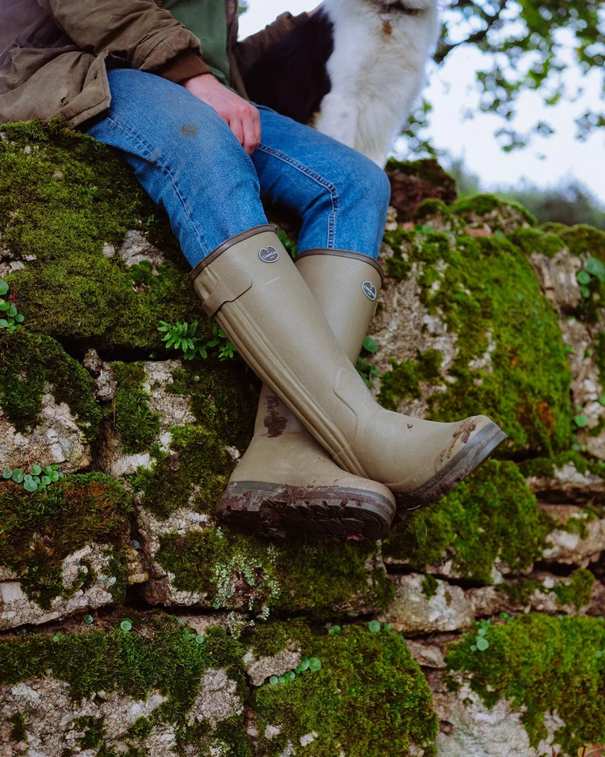 Which Le Chameau Wellies Should I Buy? A Guide to the Different Types