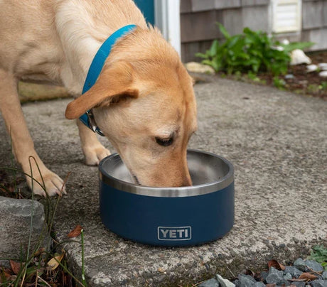 Dog Bowls