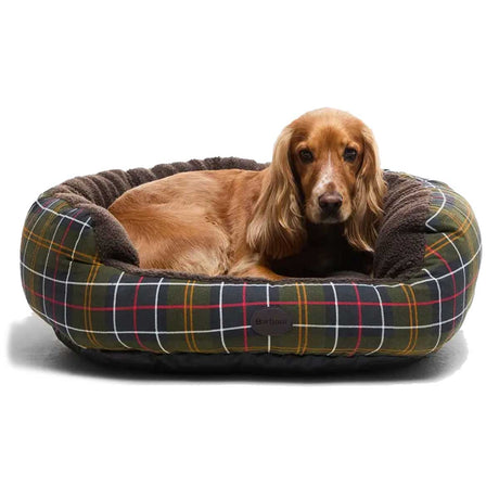 Dog Beds