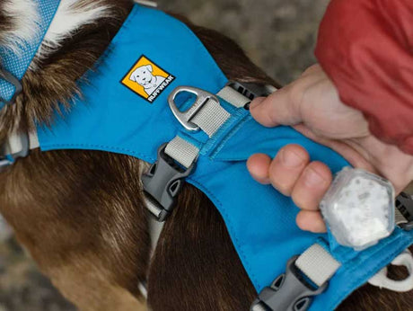 Dog Harnesses
