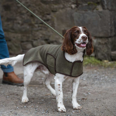 Hoggs of Fife Dogs
