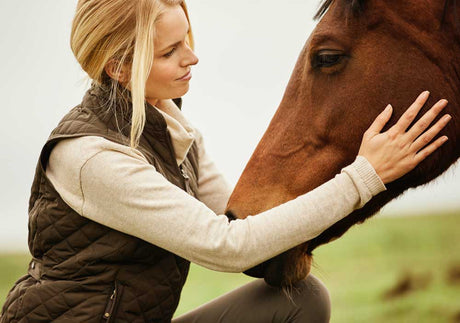 Equestrian Best Sellers