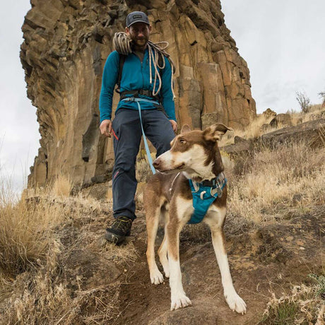Hiking Dog Leads & Harnesses