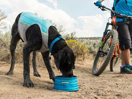 Shop Ruffwear Outdoor Dog Gear | Adventure-Ready Equipment for Active Dogs