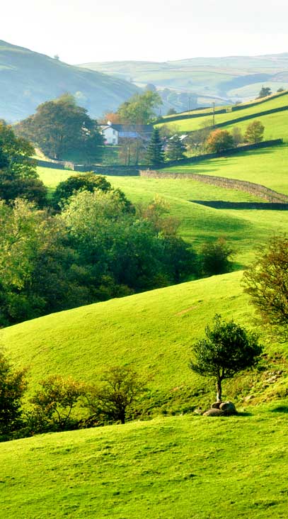 A Farley Country Attire | Premium Clothing & Footwear