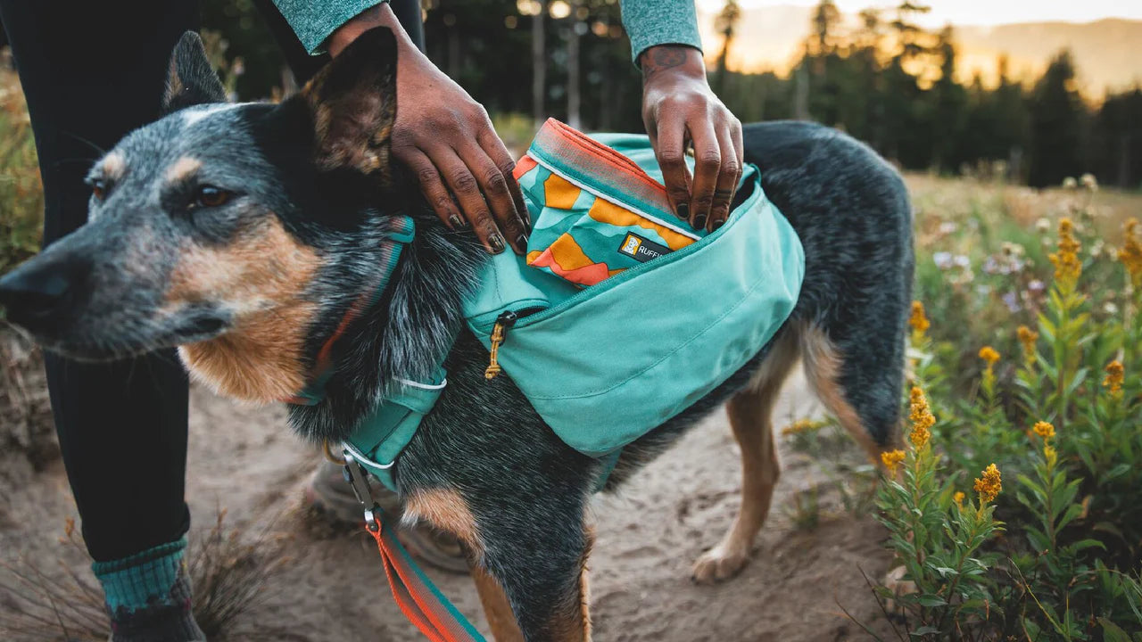 RUFFWEAR Quencher Packable Dog Bowl - Spring Mouintains Ruffwear