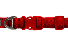 Load image into Gallery viewer, RUFFWEAR Front Range Dog Collar - Red Canyon
