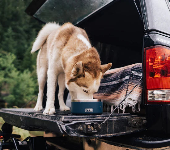 YETI Boomer 4 Dog Bowl - Navy