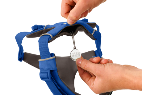 RUFFWEAR Front Range Dog Harness - Blue Pool Ruffwear