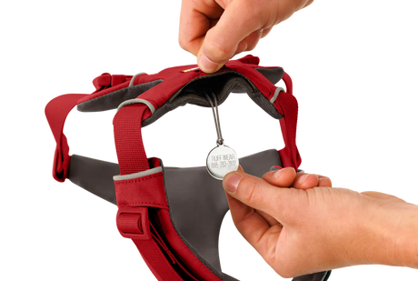 RUFFWEAR Front Range Dog Harness - Red Canyon Ruffwear