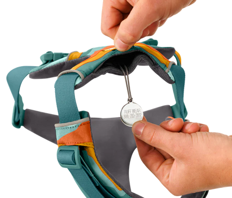 RUFFWEAR Front Range Dog Harness - Spring Mountains Ruffwear