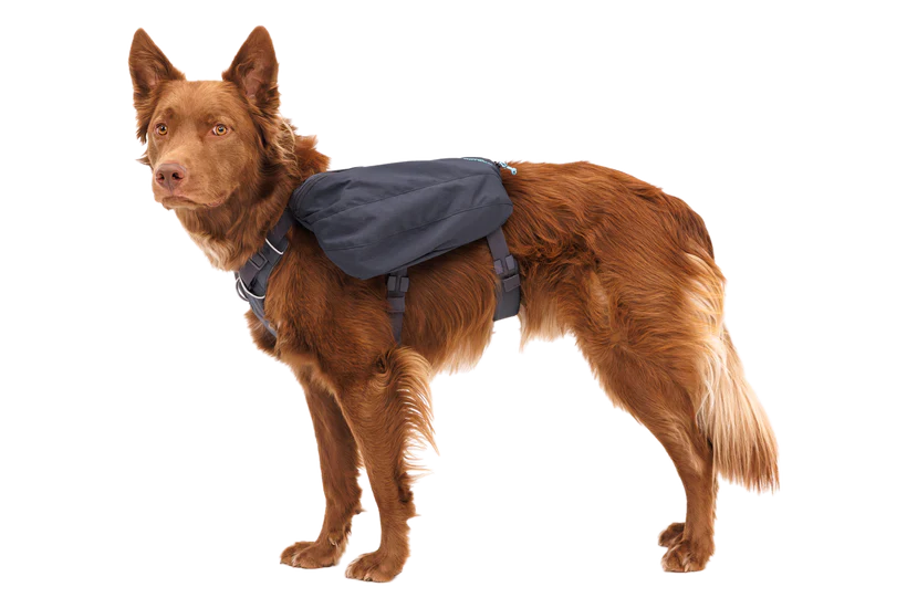 RUFFWEAR Front Range Day Pack - Basalt Grey Ruffwear