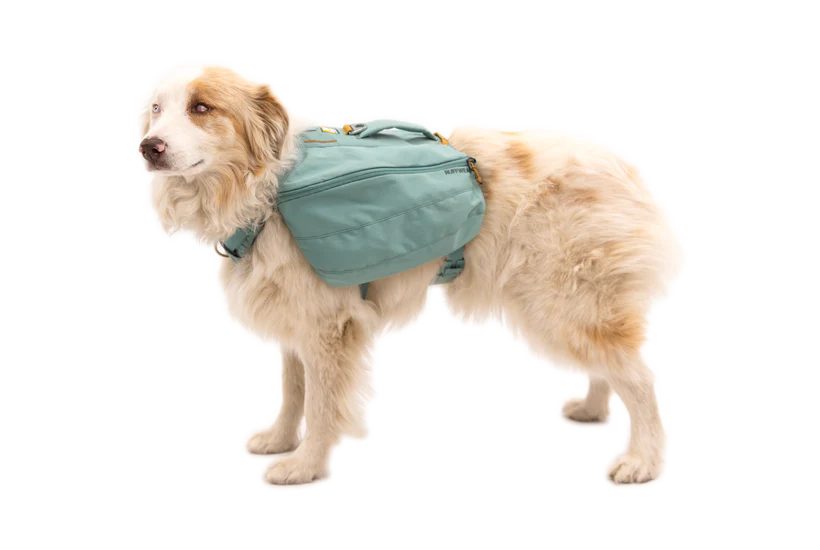 RUFFWEAR Front Range Day Pack - River Rock Green Ruffwear