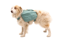 Load image into Gallery viewer, RUFFWEAR Front Range Day Pack - River Rock Green Ruffwear
