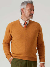 Load image into Gallery viewer, ALAN PAINE Streetly Men&#39;s V Neck Lambswool Jumper - Gazelle
