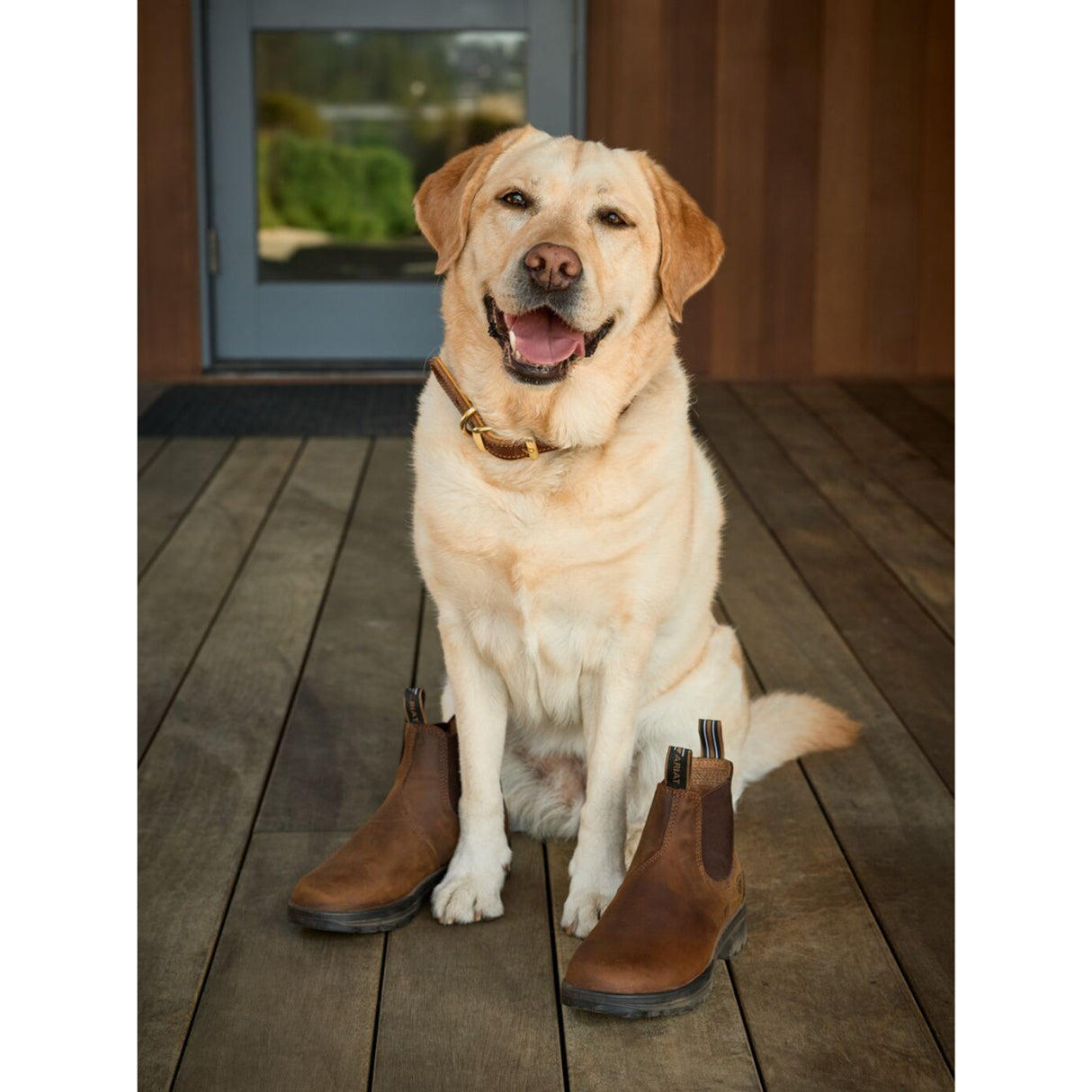 ARIAT Cooper Chelsea Boots - Womens - Distressed Copper