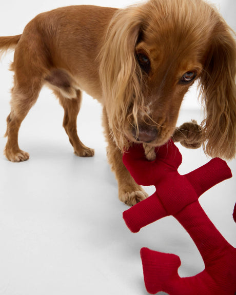 BARBOUR Anchor Dog Toy