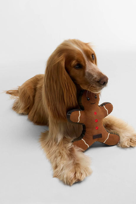 BARBOUR Christmas Gingerbread Dog Toy