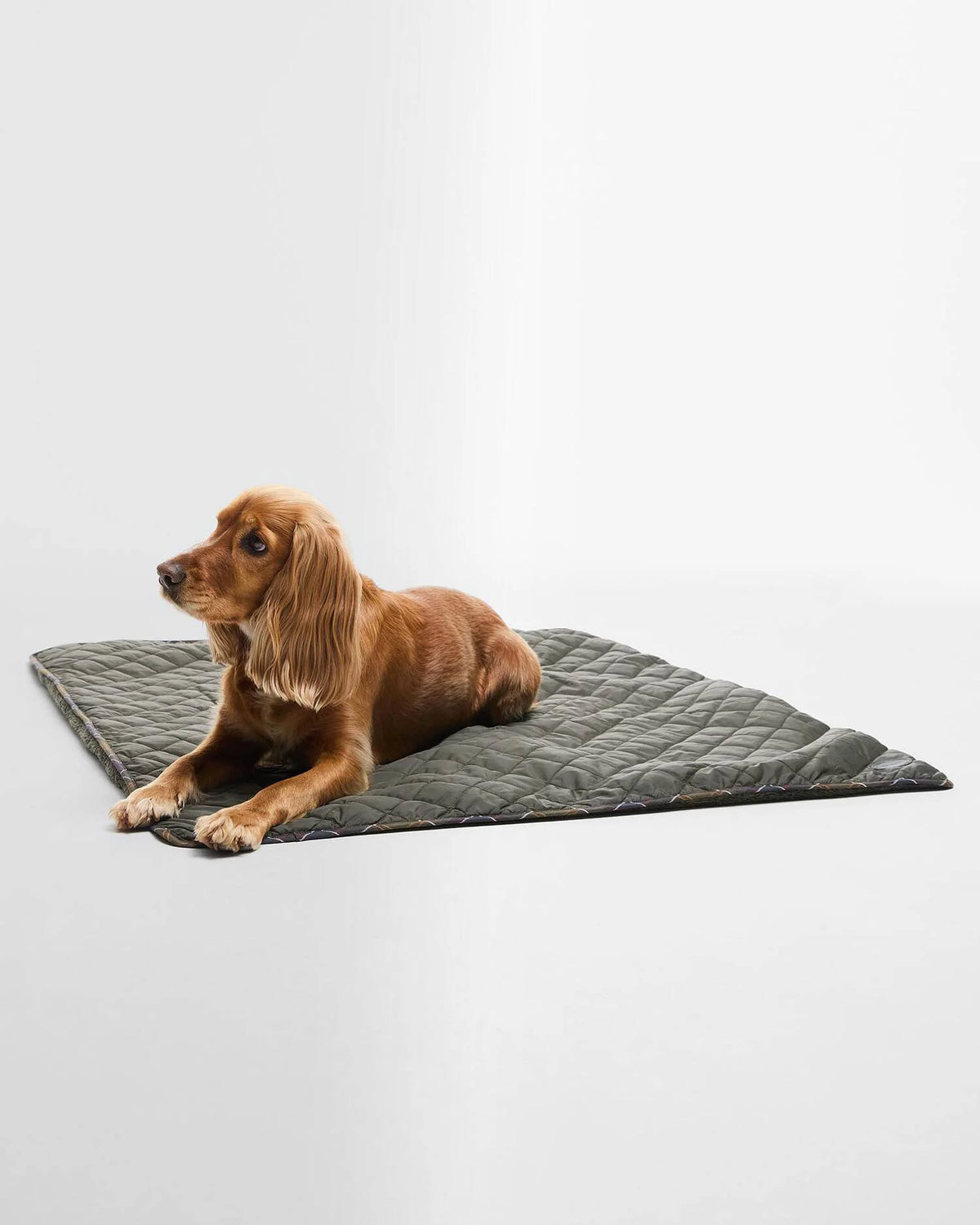 BARBOUR Dog Quilt and Fleece Blanket - Olive